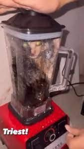 cat in a blender video leaked|cat blender leaked.